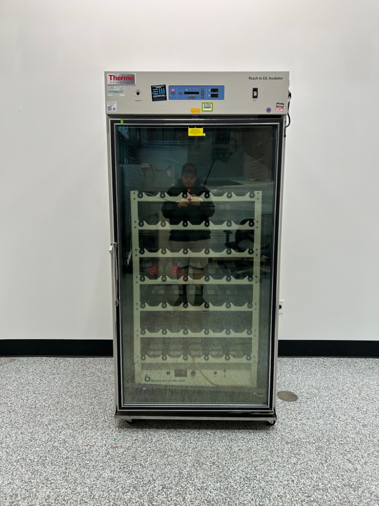 Image of Thermo Reach-In CO2 Incubator